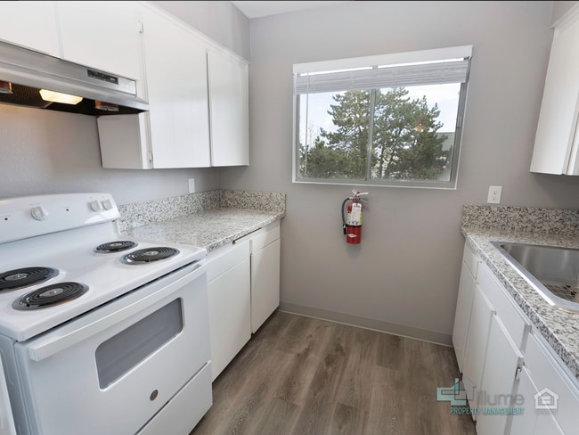 Photo - CUPID’S CONCESSION, 4-WEEKS RENT FREE! Unidad 755 - 3C