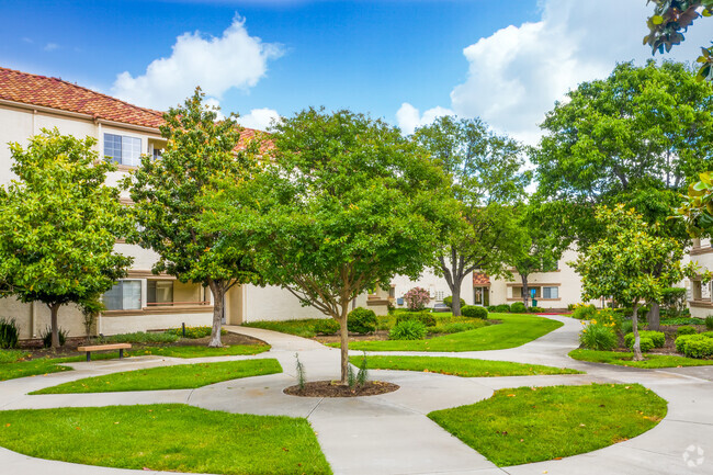 Courtyard - Somerset Apartments