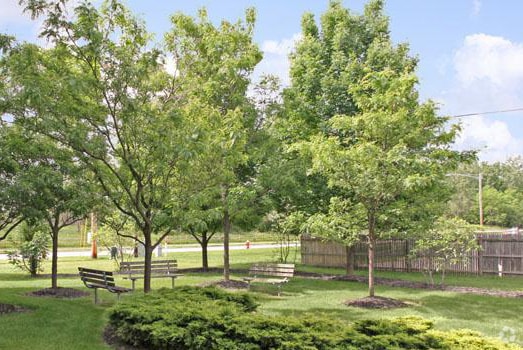 Photo - Swan Cove Apartments