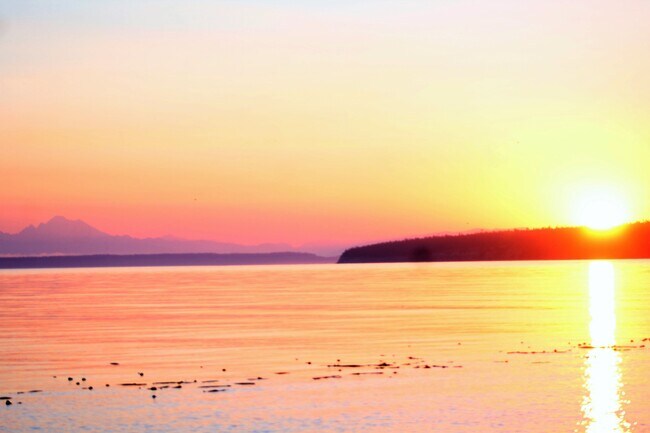 Gorgeous sunrises! - 301 Spring View Pl