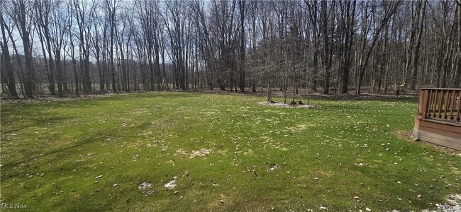 Photo - 17820 Brittany Woods Dr House