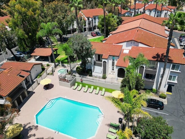 Large Pool