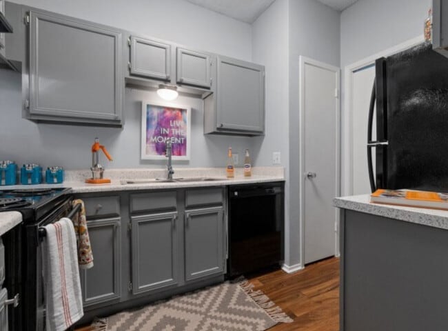 2BR, 1BA - 874SF Gray Cabinets - Oaks of North Dallas Apartments