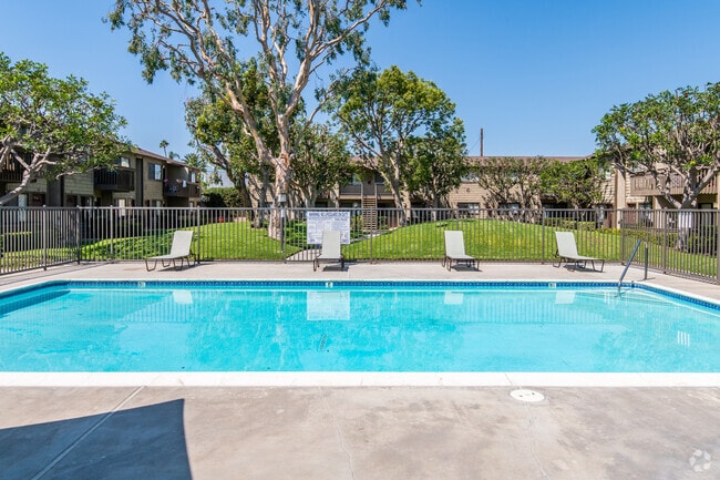 Pool and Spa