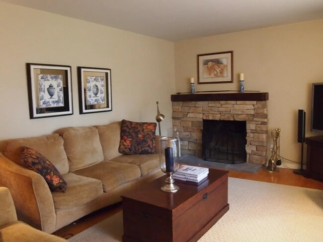 living room - 3065 Shelley Lynn Dr