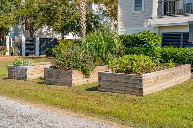 Community garden