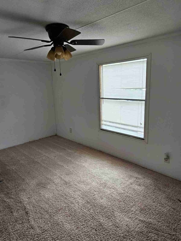 Building Photo - 1336 Rockwood Ln Rental