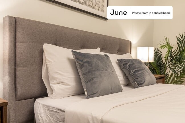 Photo - Room in Shared 4 bed/1 bath home Unit D