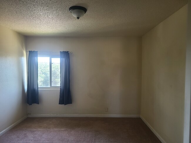 Photo - 2131 E Pacheco Blvd