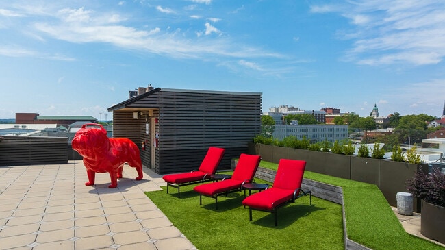 Accolade Athens Off Campus Housing