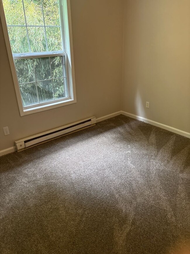 Photo - Newly Remodeled 3 Bedroom in East Asheville