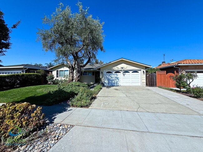 Photo - $5295 - Beautiful 4 Bed/2 Ba Cambrian Park Home Available Now!