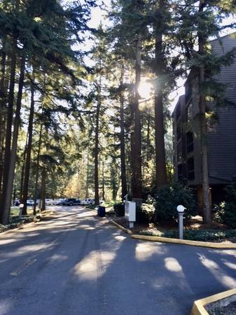 Photo - 6347 137th Ave NE Unit 283