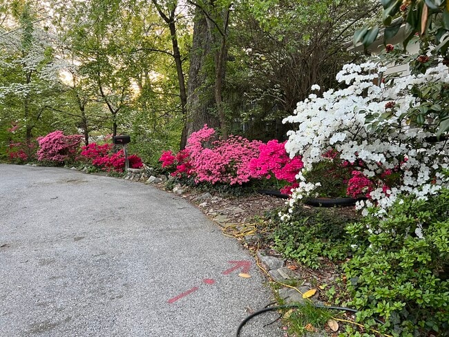 entrance - 2948 Albemarle St NW Unidad 1