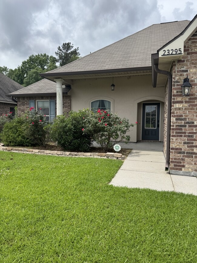 23295 Mango Dr