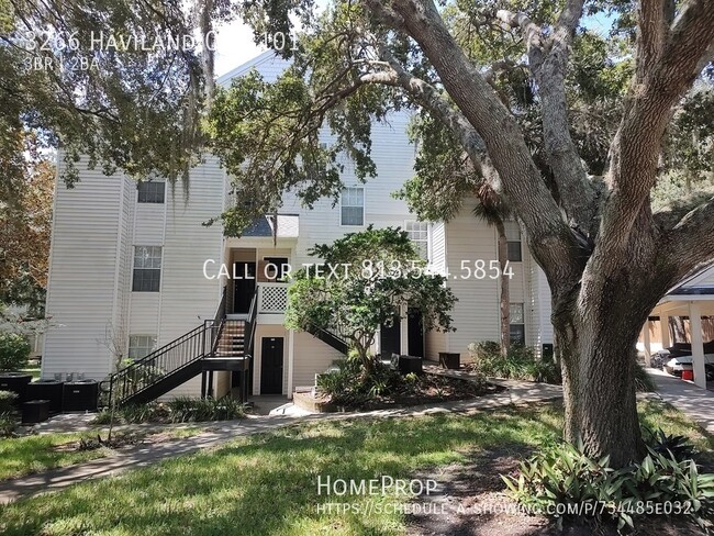 Luxurious Palm Harbor Condo with Resort-St... - Luxurious Palm Harbor Condo with Resort-St... Unit 101