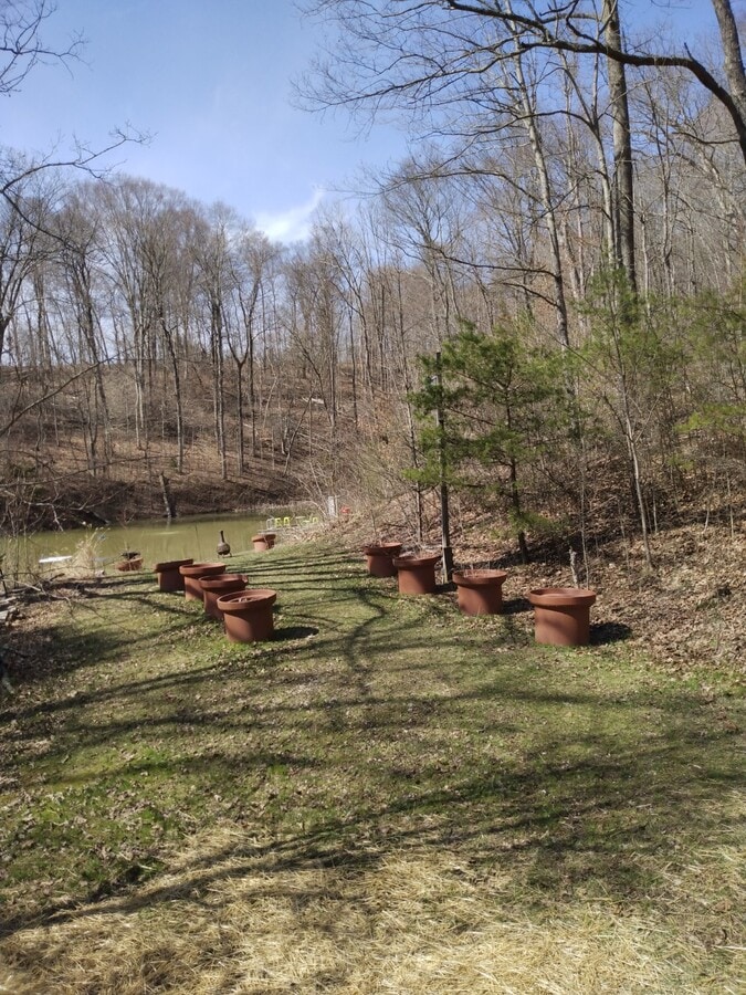 Photo - 11097 Frasure Helber Rd House