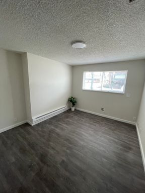 Photo - 1bed at Sparks Apartments - Newly remodeled! Unit 03