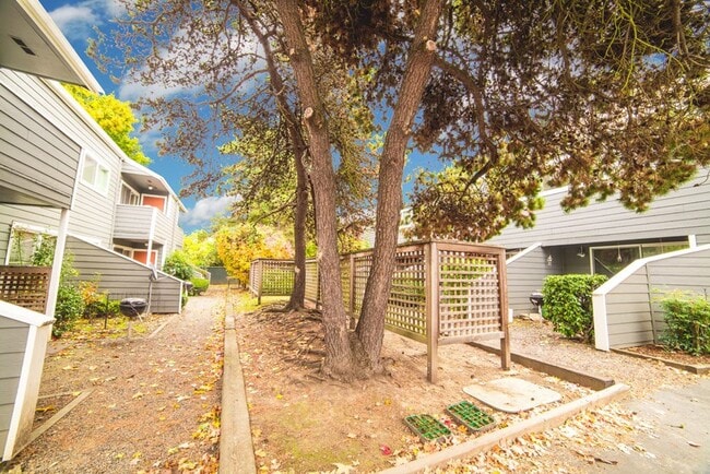 Photo - Mapleview Apartments