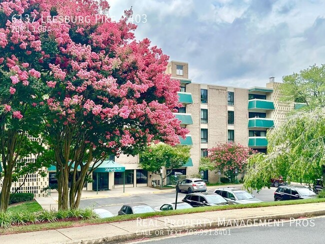 Building Photo - 6137 Leesburg Pike Unit 403 Rental