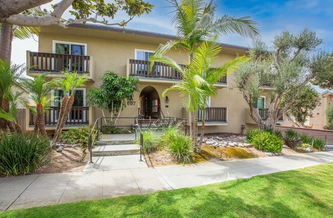 Photo - The Olive Branch