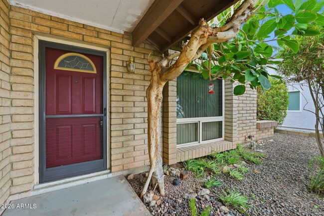 Photo - 1805 W Curry Dr