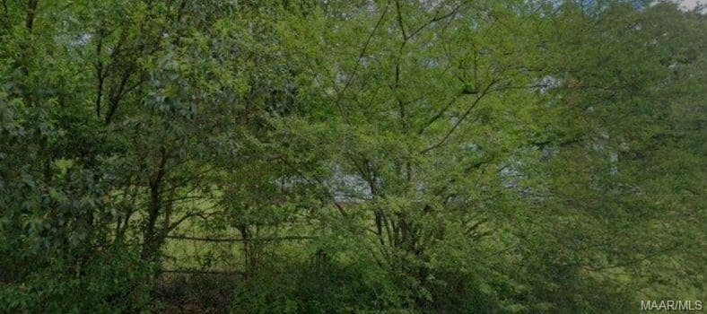 Photo - 3316 Branch St