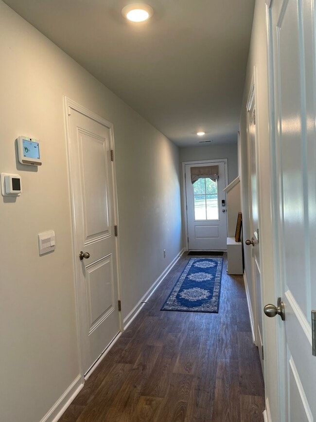 Photo - Pine at New Hamstead