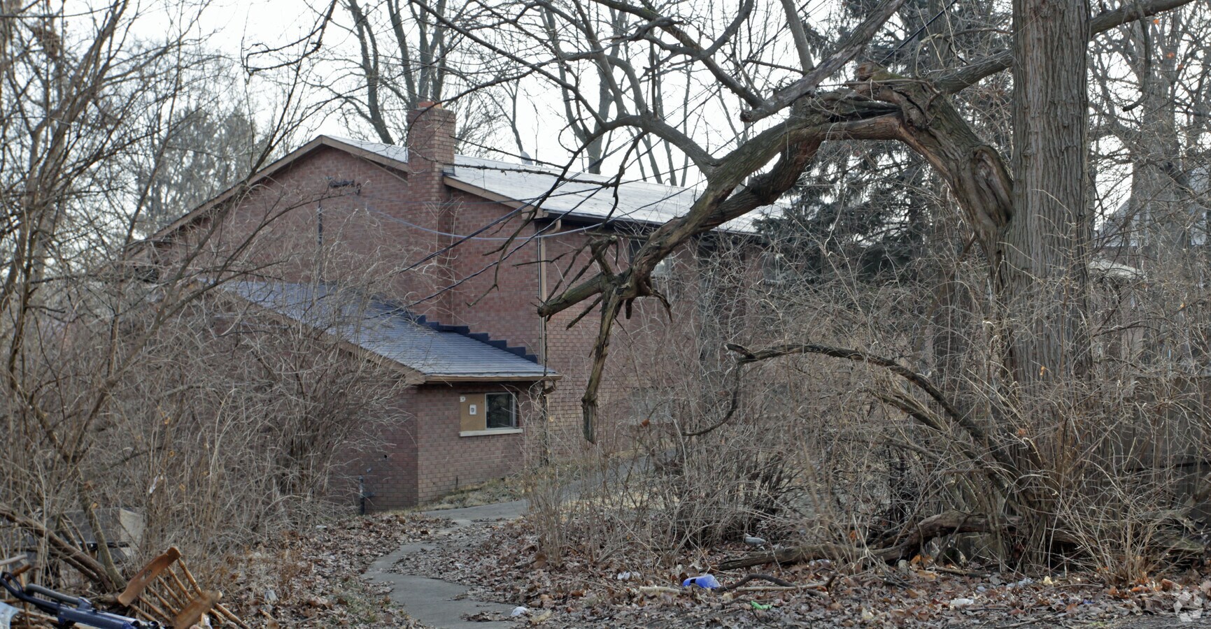 Photo - Village Garden