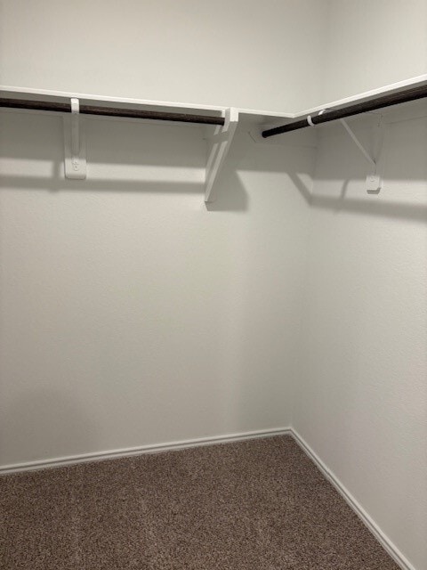 Building Photo - 14234 Northern Pintail Ct