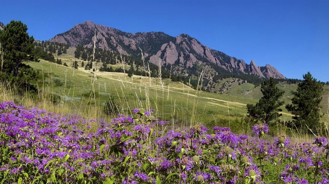 Photo - (PRICE DROP) Beautiful & Large 4-Bd 2.5-Ba...
