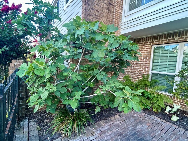 Photo - 2456 Country Club Dr