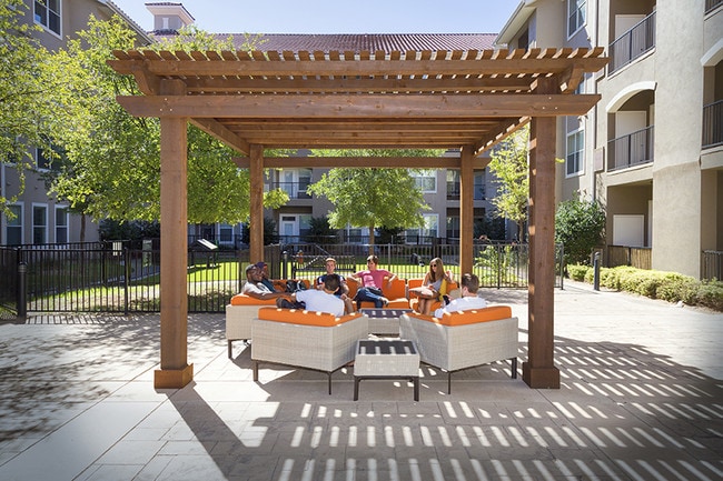 Centre Dog Park Lounge Area