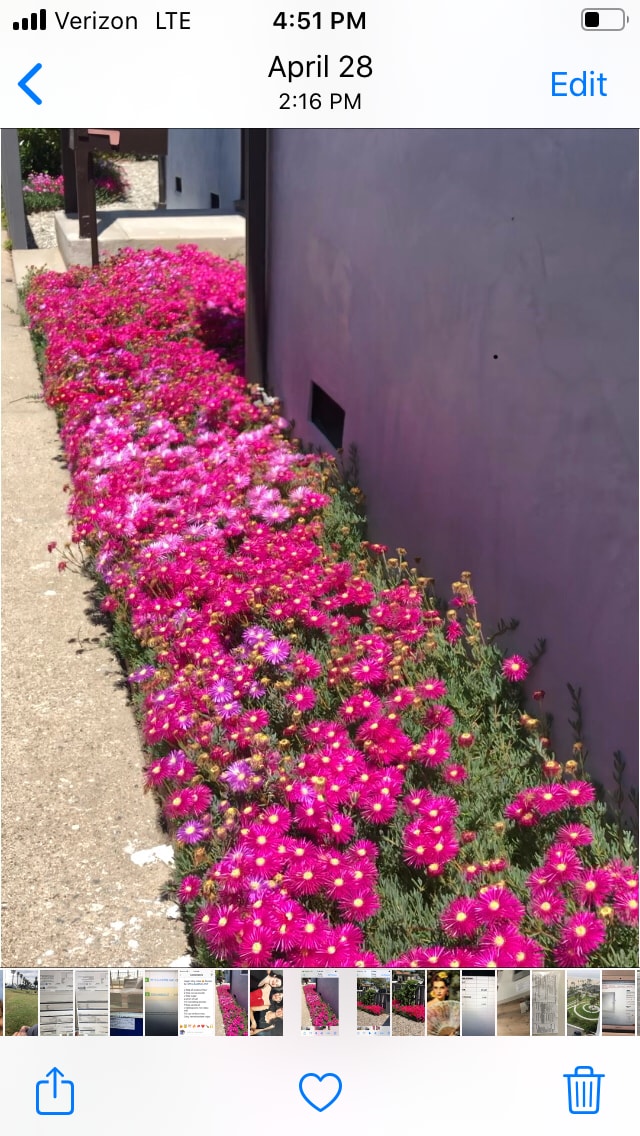 Entry - 9042 Carson St Unit 9042