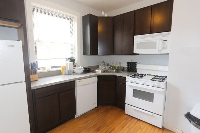 Photo - 3506 W Grace St Unit 2