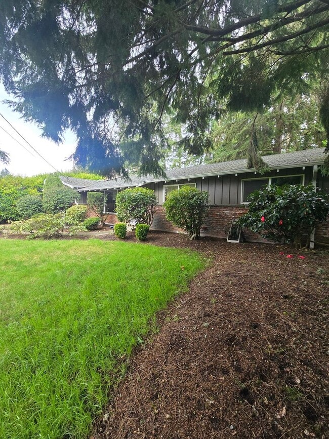 Photo - Beautiful 3 bedroom on large lot.