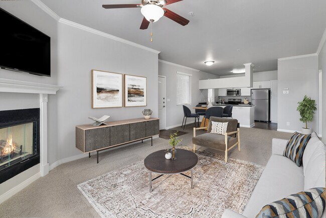 Alize Apartment Homes