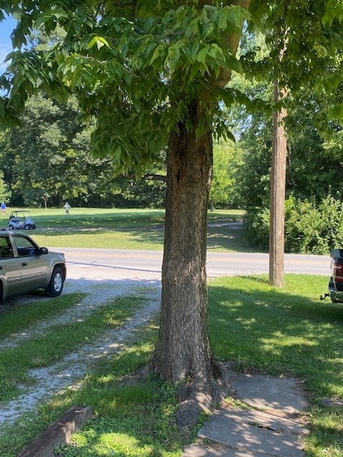 View from front porch - 2611 E Troy Ave