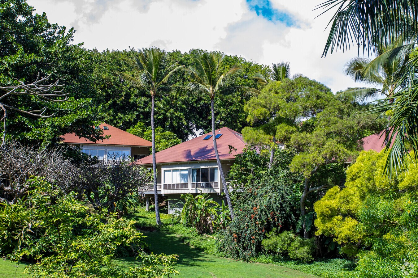 Photo - Poipu Crater