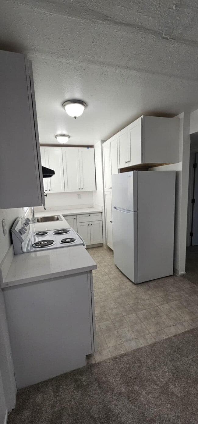 Mission Bart Apartments - Newly Renovated