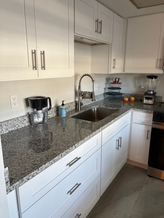Photo - 870 Virginia St Unit Dunedin