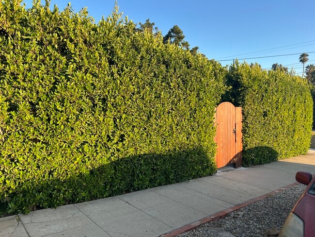 Building Photo - 1618 Micheltorena St