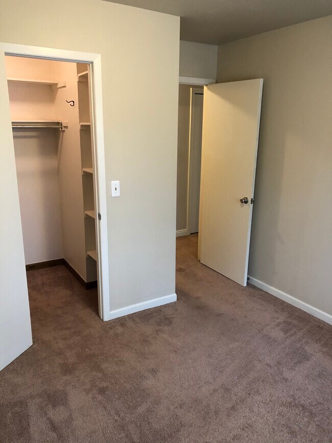 Photo - Pine Tree Apartments