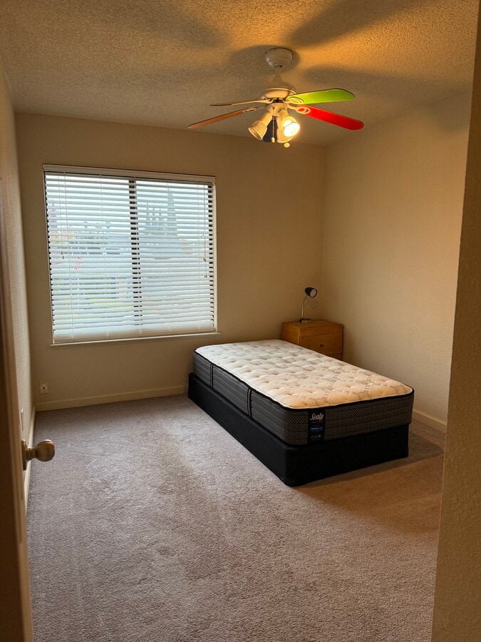 Photo - 7435 Patero Cir