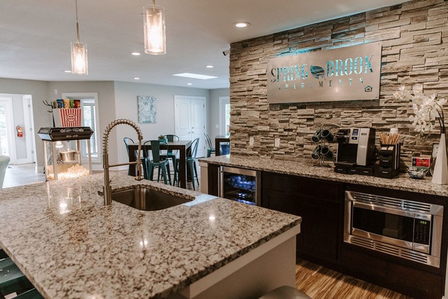 Photo - Spring Brook