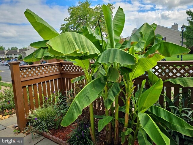 Photo - 6088 Essex House Square