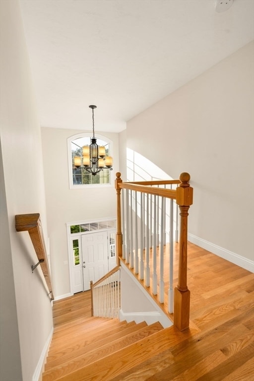 Photo - 25 Derby St