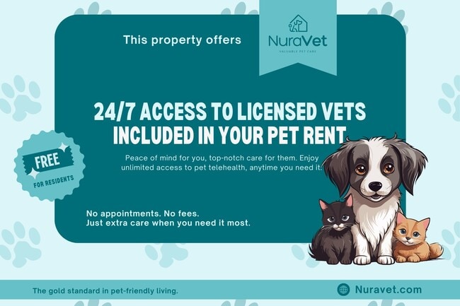 Pet Friendly - Oxford Apartments