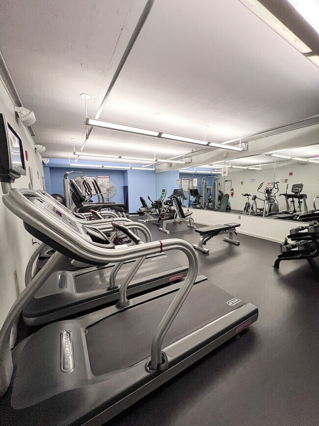 Gym /Fitness in premesis