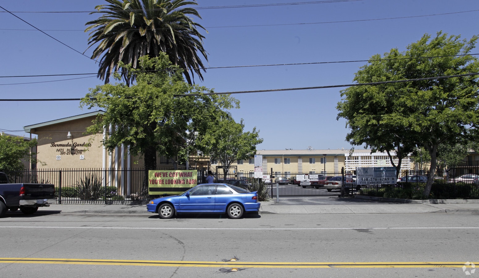 The Manzanita - The Manzanita